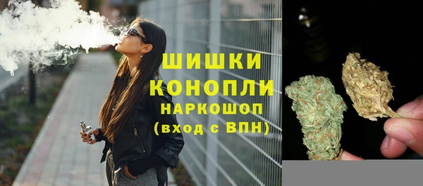 эйфоретик Аркадак