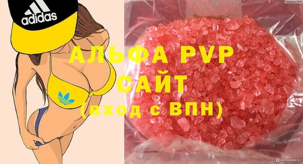 эйфоретик Аркадак
