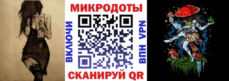 что такое   Камбарка  Псилоцибиновые грибы Psilocybe 